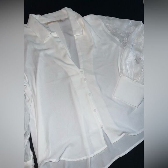 Soft Surroundings Lorenza Blouse with Sheer Eyelet Sleeves Size XL EUC - Picture 2 of 9